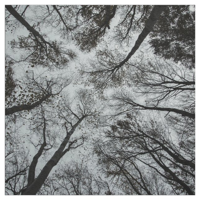 Black and white forest ceiling fabric (Swatch)