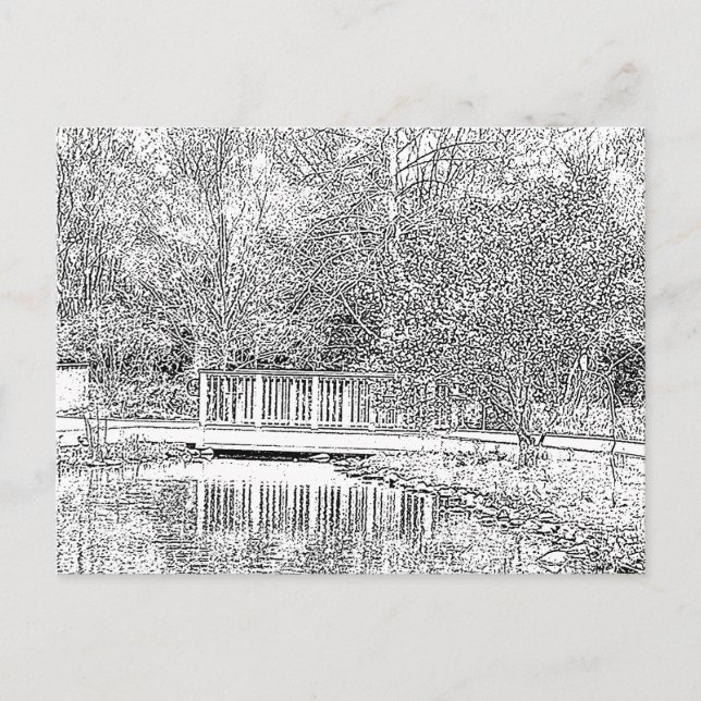 Black and White Forest Postcard (Front)