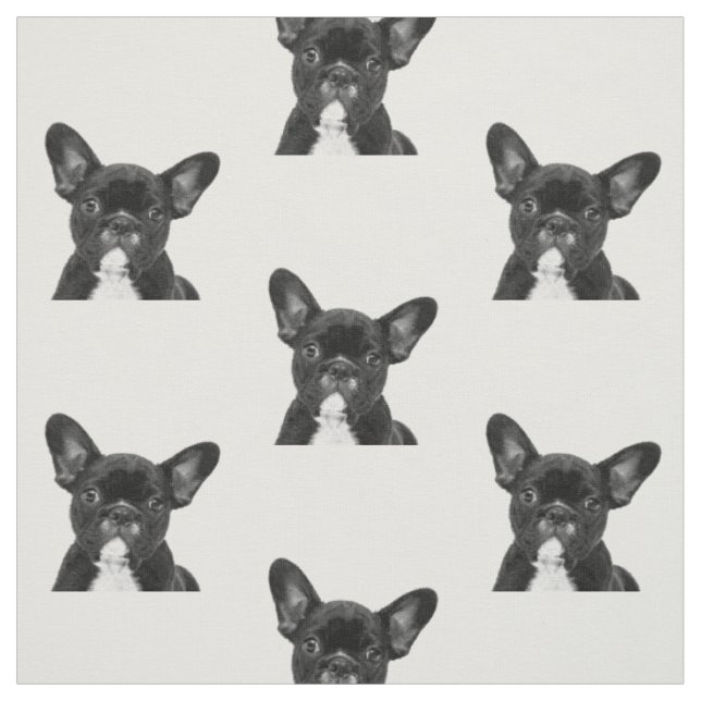 Black and White French Bulldog Fabric (Swatch)