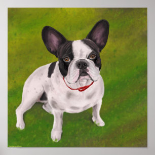 Black and white French Bulldog on Grass - Painting Poster