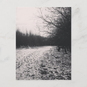 Black and white frozen postcard