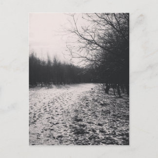 Black and white frozen postcard