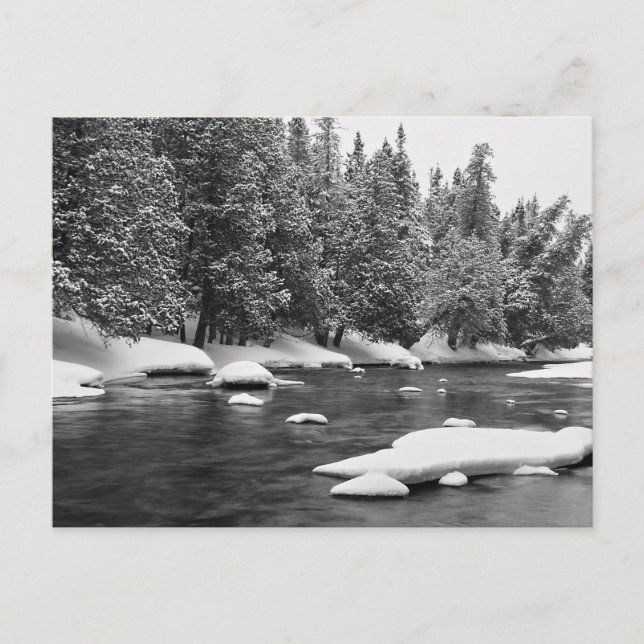 Black and white frozen river scenery postcard (Front)