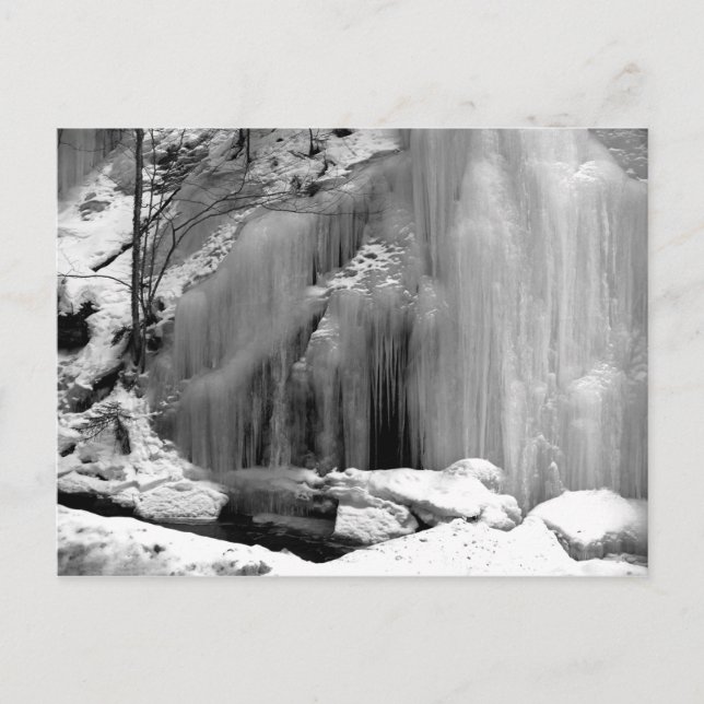 Black and White Frozen Waterfall Postcard (Front)