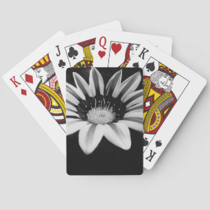 Black and White Gazania Flower Photograph Playing Cards