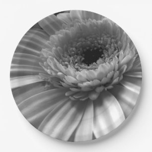Black and White Gerber Daisy Paper Plates