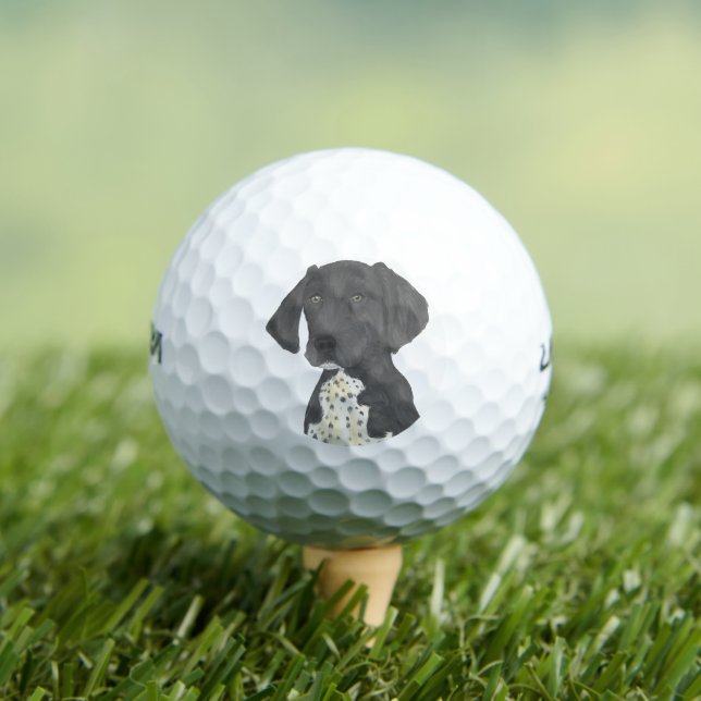 Black and White German Shorthaired Pointer Golf Balls (Insitu Tee)