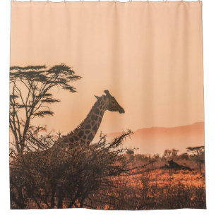 BLACK AND WHITE GIRAFFE ON BROWN GRASS FIELD SHOWER CURTAIN
