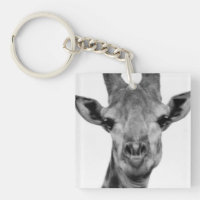 Black and White Giraffe Photograph