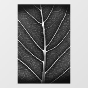 Black and white glowing leaf close-up