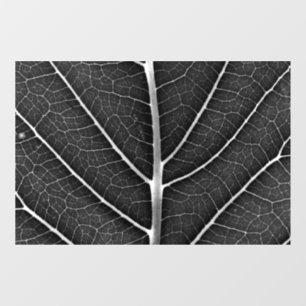 Black and white glowing leaf close-up