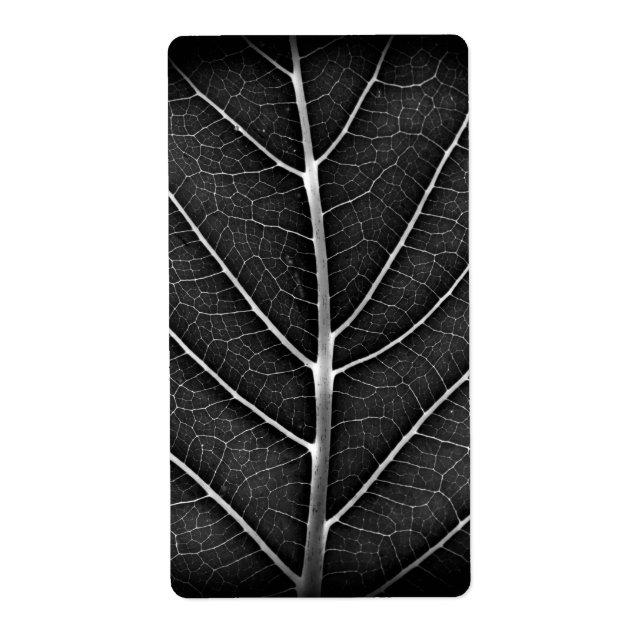 Black and white glowing leaf close-up (Front)