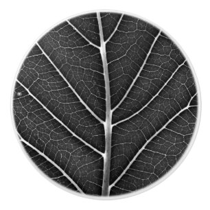 Black and white glowing leaf close-up ceramic knob