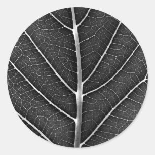Black and white glowing leaf close-up classic round sticker