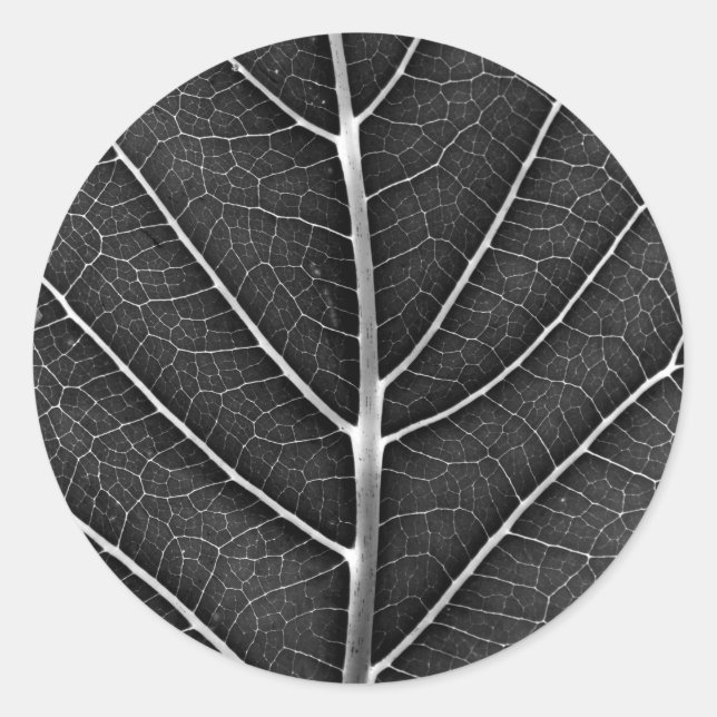 Black and white glowing leaf close-up classic round sticker (Front)