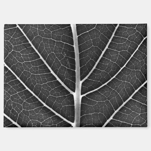 Black and white glowing leaf close-up magnet (Front)