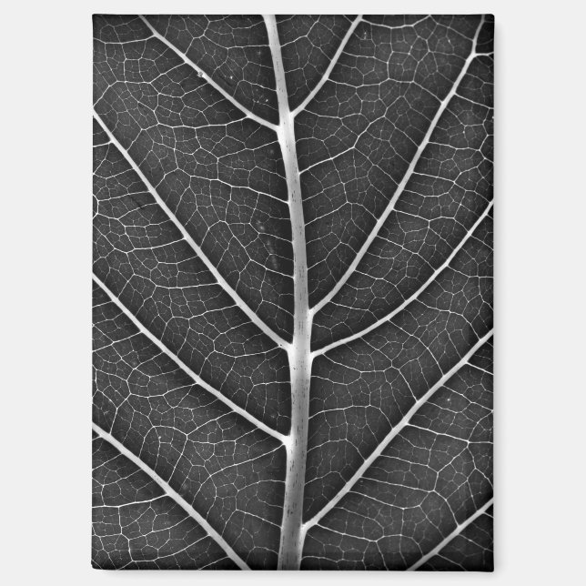 Black and white glowing leaf close-up magnet (Front)