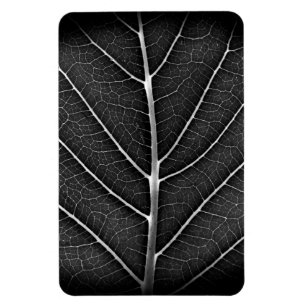 Black and white glowing leaf close-up magnet