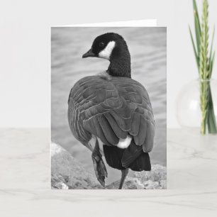 Black and White Goose Card