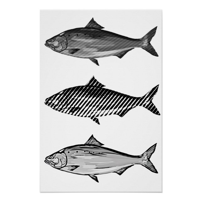 Black and white graphic fish poster (Front)