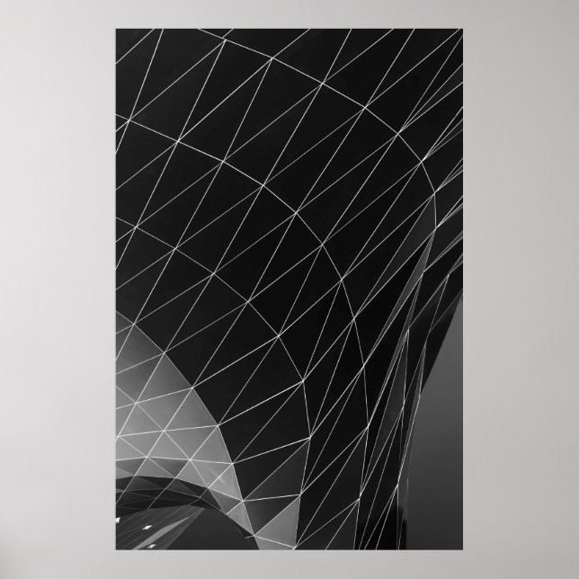 Black and white graphic illustration poster (Front)