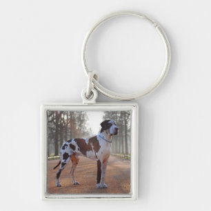 Black and White Great Dane Key Ring