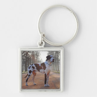 Black and White Great Dane Key Ring