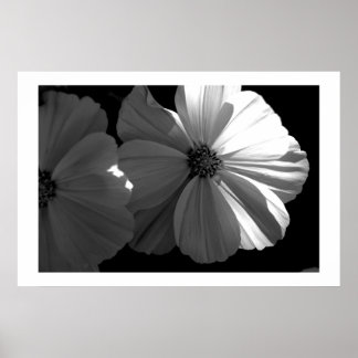 Black and White Half Sun Poster