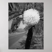 Black And White Hawaiian Flower Poem Poster