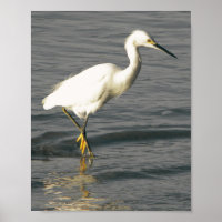 Black and White Heron Tropical Printable Art