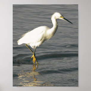 Black and White Heron Tropical Printable Art  Poster