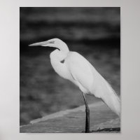 Black and White Heron Tropical Printable Art