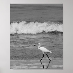 Black and White Heron Tropical Printable Art  Poster
