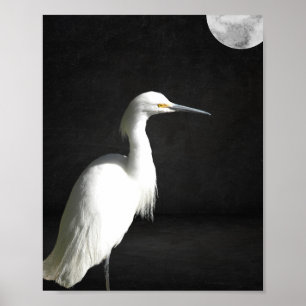 Black and White Heron Tropical Printable Art  Poster