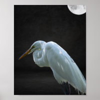 Black and White Heron Tropical Printable Art