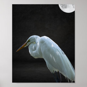 Black and White Heron Tropical Printable Art  Poster
