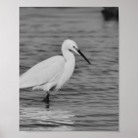 Black and White Heron Tropical Printable Art 
