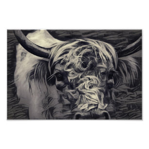 Black and white Highland Cow Photo Print