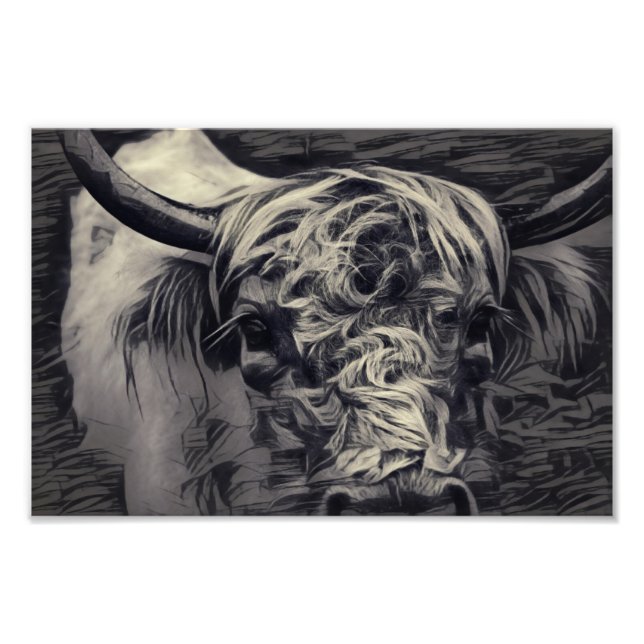 Black and white Highland Cow Photo Print (Front)