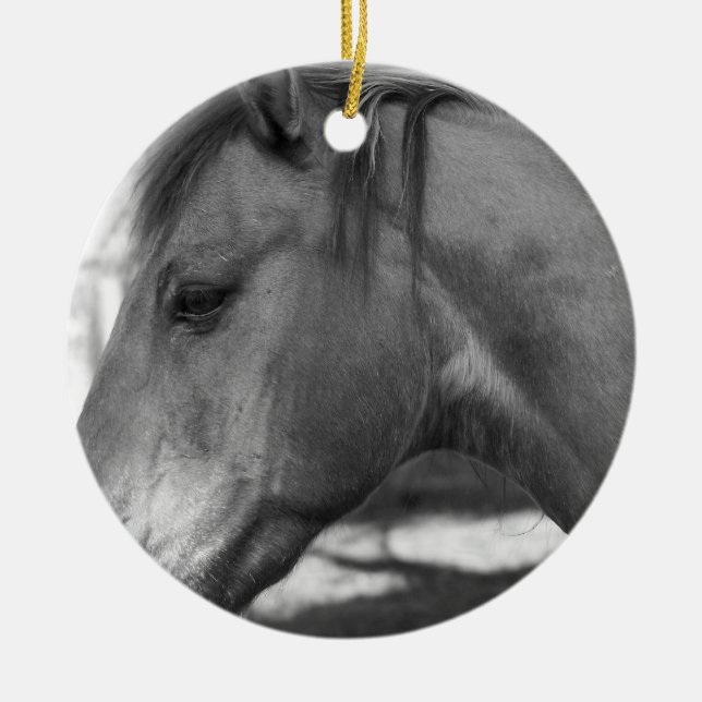 Black and white Horse ornament (Front)