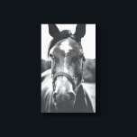 Black and White Horse Portrait Photo Canvas Print<br><div class="desc">A beautiful black and white horse photograph that will be a perfect accent to your home or office.</div>