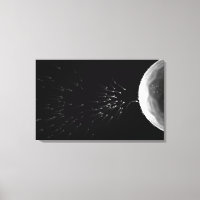 Black and white illustration of fertilisation