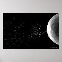 Black and white illustration of fertilisation