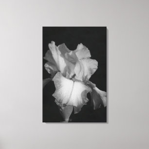 Black and White Iris Floral Photo Canvas Print