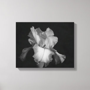Black and White Iris Floral Photo Canvas Print