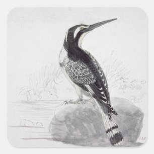 Black and White Kingfisher Square Sticker