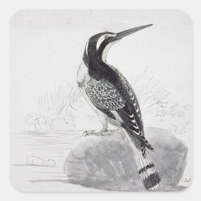 Black and White Kingfisher Square Sticker (Front)