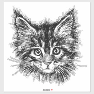 Black and White Kitten Face