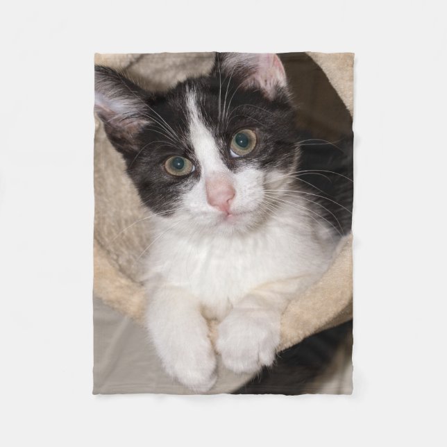 Black and white kitten fleece blanket (Front)