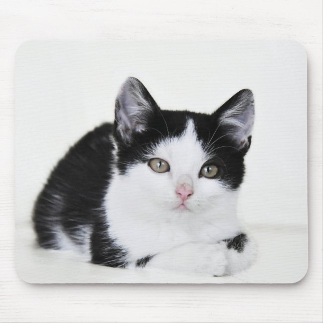 Black and White Kitten Mouse Pad (Front)